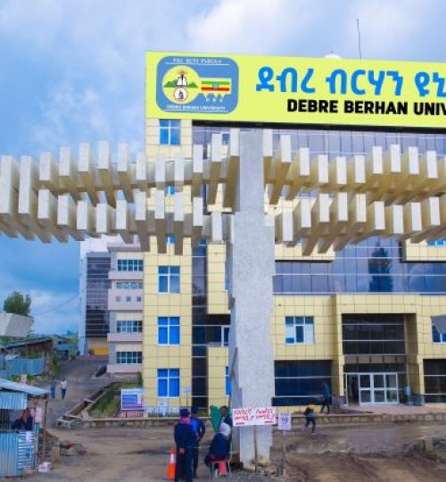 Debre Berhan University